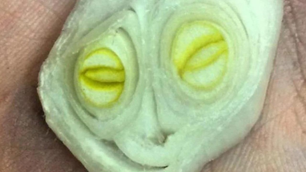 This cook thought it was just a regular onion until they saw an alien inside. Picture: splitpics.uk