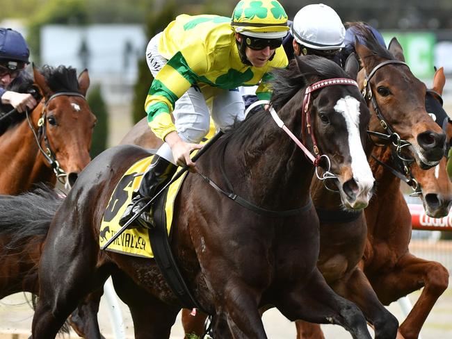 Damian Lane and Pacodali overhaul Ben Melham (white cap) and Almandin. Picture: Getty Images