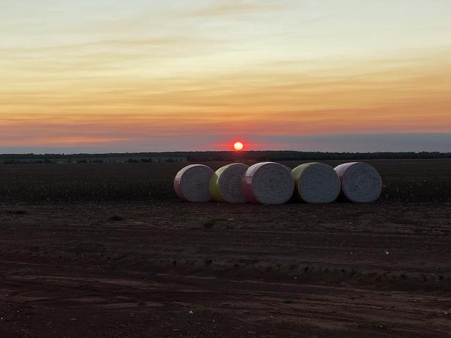 Upwards of 150,00 cotton bales will be able to be processed at the Katherine cotton gin.