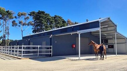 The stables feature outdoor pens for each horse as well as a warm shower. Picture: RSCPA