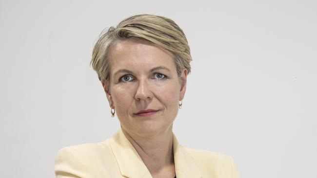 ALP deputy leader Tanya Plibersek. Picture: Brian Cassey