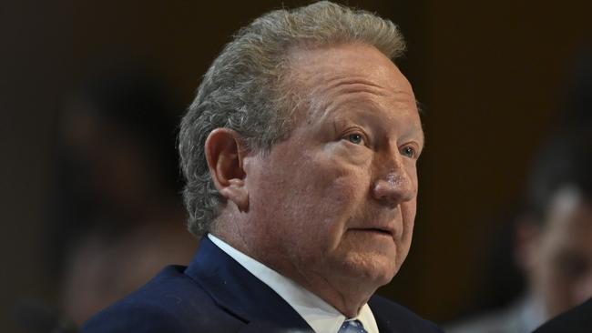 Fortescue Metals Group founder Andrew Forrest. Picture: NCA NewsWire / Martin Ollman