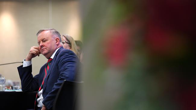 Federal Opposition Leader Anthony Albanese has committed to zero net emissions by 2050 if Labor wins government.