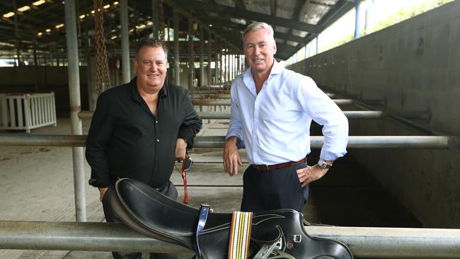 Everything is roses for owners of Melbourne Cup fancy, Tiberian, Shaun Frost and Malcolm Lynch at Gold coast Turf Club, talking about their horses chances in the great race. Picture Glenn Hampson