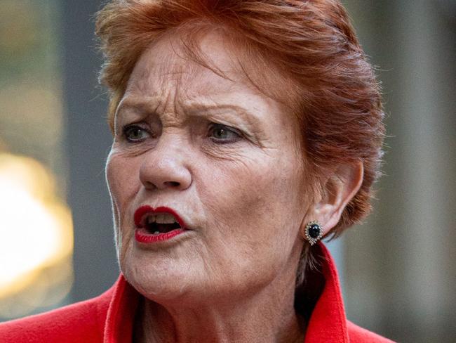 SYDNEY, AUSTRALIA - NewsWire Photos June 10, 2022: One Nation leader Pauline Hanson leaves the Federal Court in Sydney.Picture: NCA NewsWire / Christian Gilles