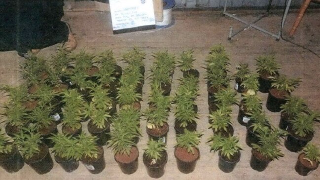 Police seized cannabis valued at more than $1.6 million.