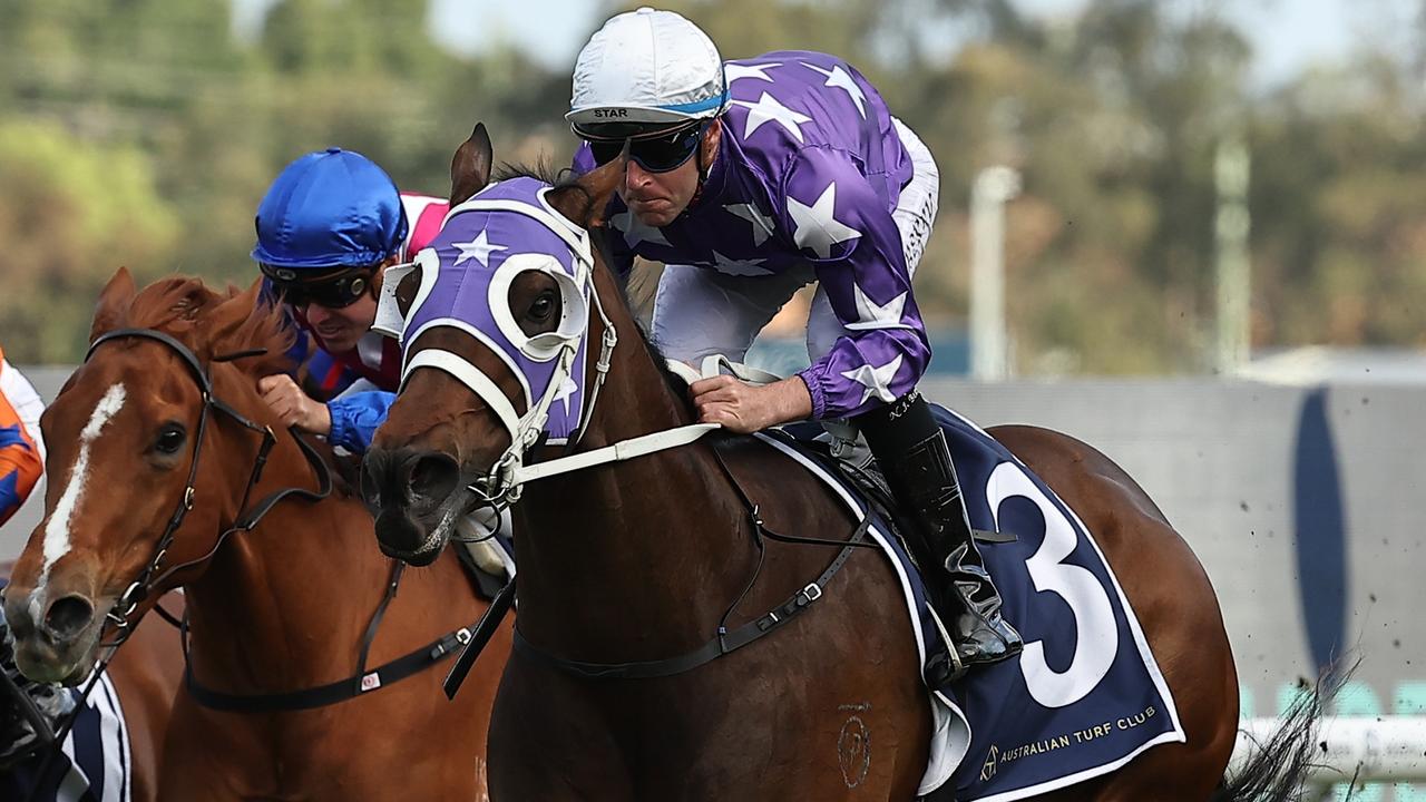 Randwick Turf Talk: ‘Arrogant in Nivison, will back it up here’