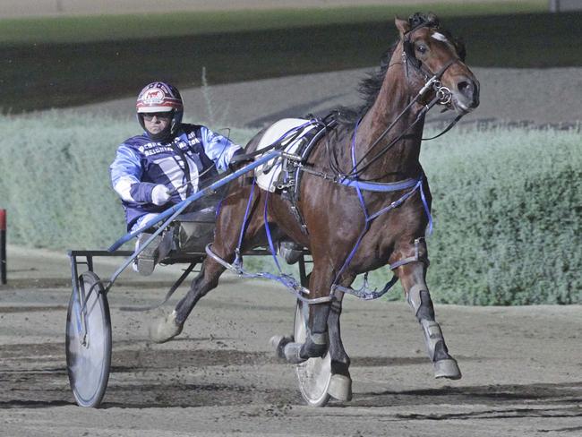 Lennytheshark is already odds on to claim the Inter Dominion grand final after drawing gate three. Picture: Stuart McCormick