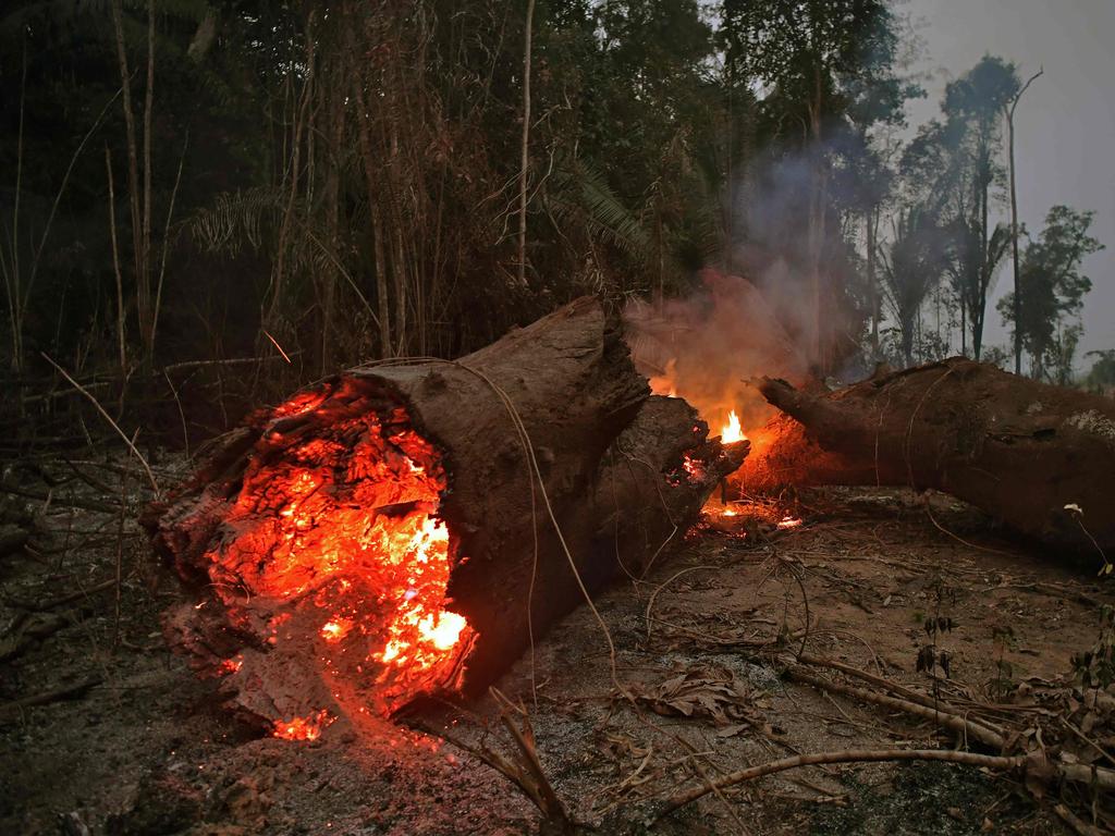 The fire near Abuna, Rondonia state, Brazil. Picture: AFP