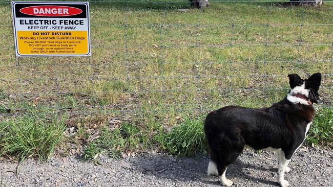 Once upon a time “Keep Out” would have sufficed. Picture: Supplied