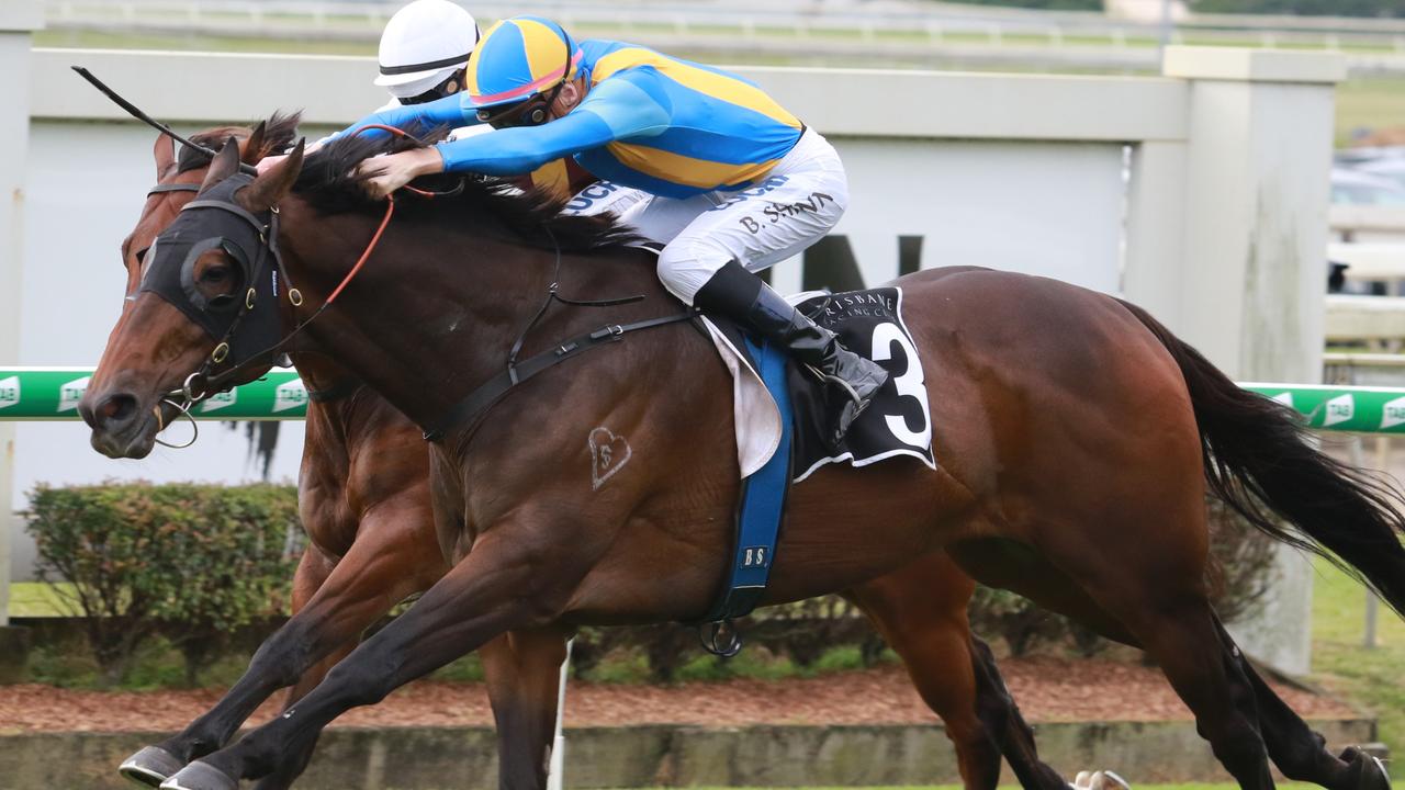 Redouble winning at Doomben 2019. Pic by Grant Guy