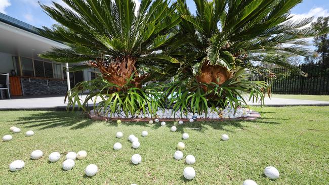 Resident Mick Cole is annoyed the Helensvale Golf Club aren't doing enough to stop errant golf balls from entering surrounding property, causing damage and safety concerns. Mr Cole has collected hundreds of balls in his backyard. Picture Glenn Hampson