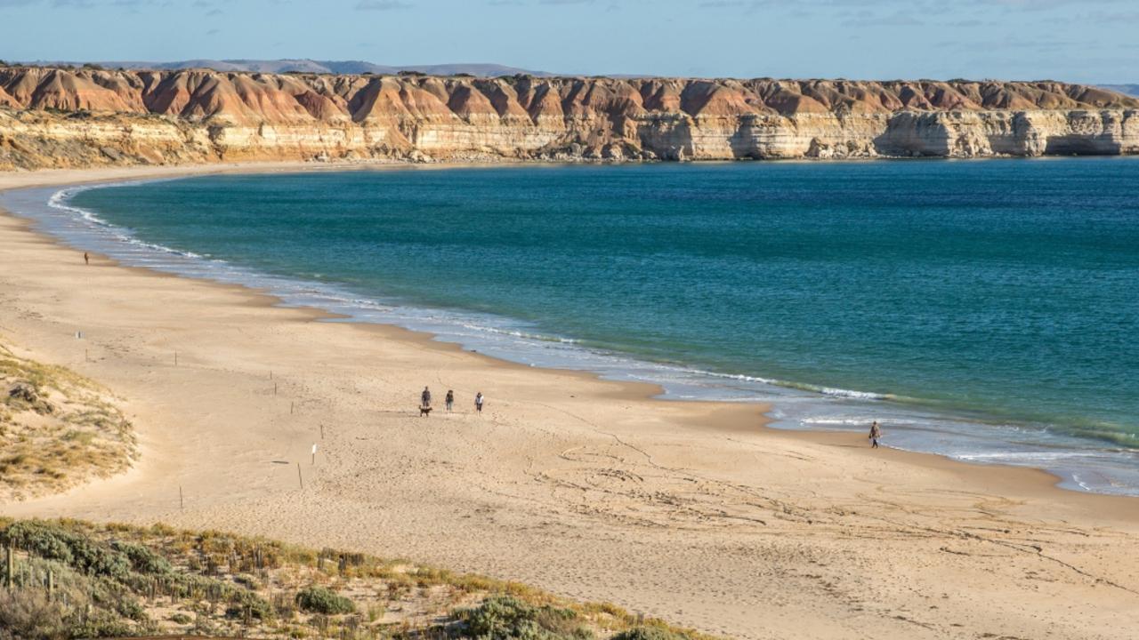 Maslin Beach Suspected human bones found on beach news.au — Australias leading news site