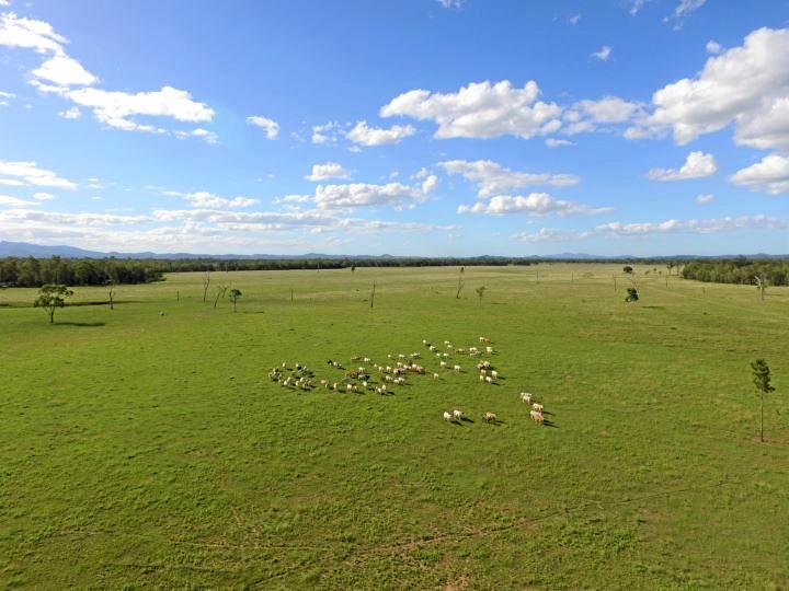 Galloway Plains, a cattle grazing property west of Calliope, sold at auction for $15 million.