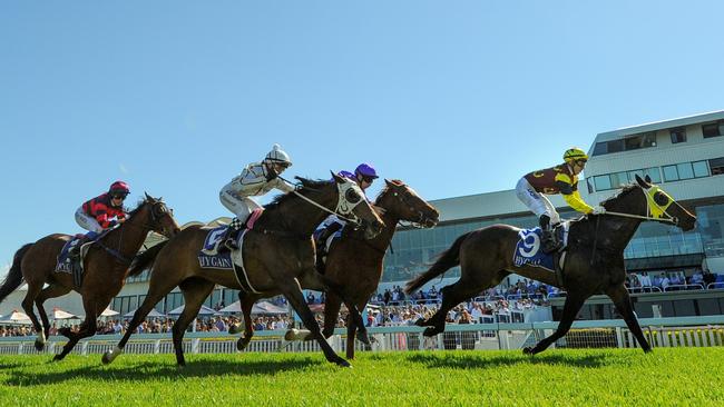 Weekend Winner salutes at the Gold Coast on Saturday. Photo: BRUCE THOMAS