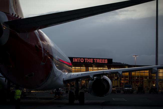 Into The Trees at Hobart Airport. Picture: DARKLAB MEDIA