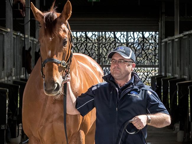 The Quarterback and Robbie Griffiths at his stables on the Cranbourne Training Track .The Quarterback is one of the leading contenders in the Darley Stakes on Saturday. Pictured on Friday 4th November, 2016. Picture: Mark Dadswell
