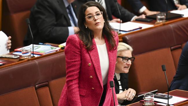 Senator Claire Chandler’s comments landed her in hot water in 2020. Picture: Martin Ollman/NewsWire