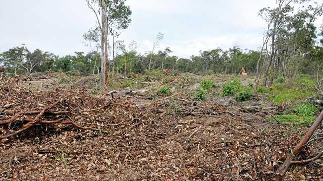 The was previously bushland and is fast becoming a barren waste. Picture: Trish Bowman