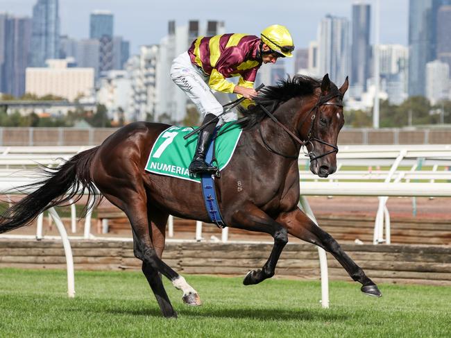 Numerian (IRE) on the way to the barriers prior to the running of the TAB Australian Cup at Flemington Racecourse on March 25, 2023 in Flemington, Australia. (Photo by George Sal/Racing Photos via Getty Images)