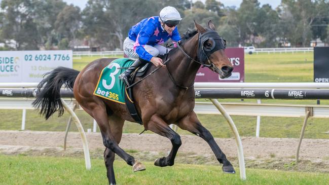 Detroit City will attempt to repeat his dominant debut win at Flemington on Saturday. Picture: Racing Photos via Getty Images