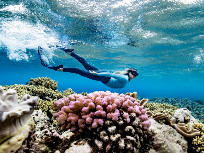 HOLDING FOR THE COURIER MAIL -  Marine biologists Brittany Wassing and diving and researching at Moore Reef off the coast of Cairns Picture Luke Marsden