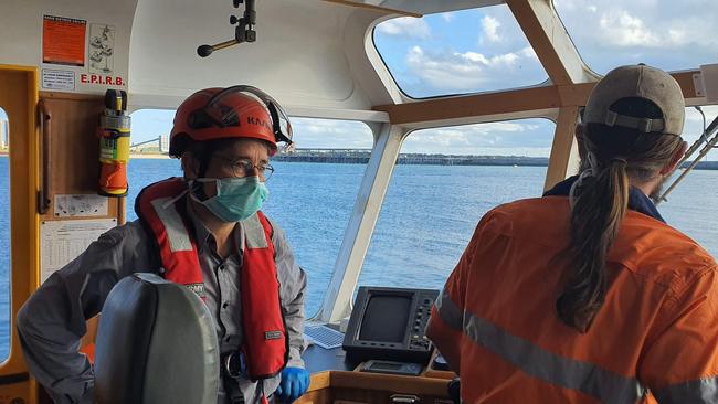 Pilots working at North Queensland bulk ports