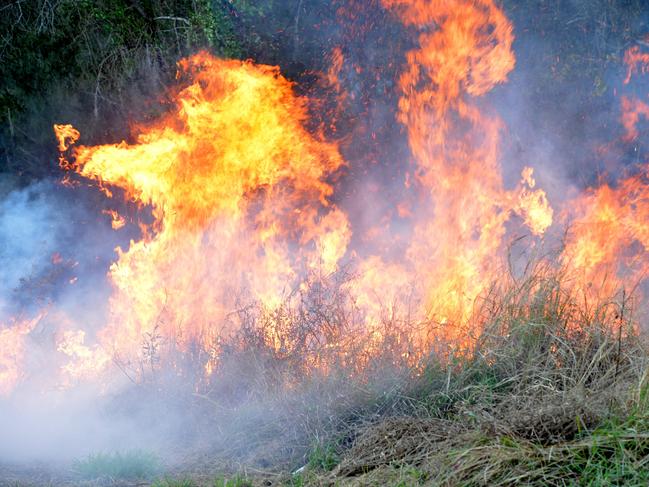 Queensland Fire and Rescue Officers control a bushfire on Fisherman's Road, Maroochydore. Photo: Warren Lynam / Sunshine Coast Daily