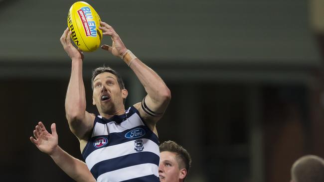 Harry Taylor has been a stalwart of the Cats’ back half for more than a decade. Pic: AAP