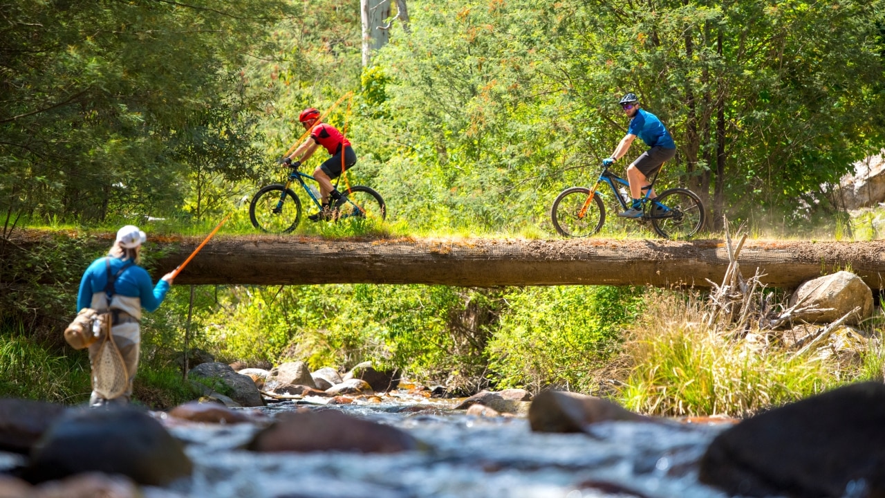 Nature bike outlet trails near me