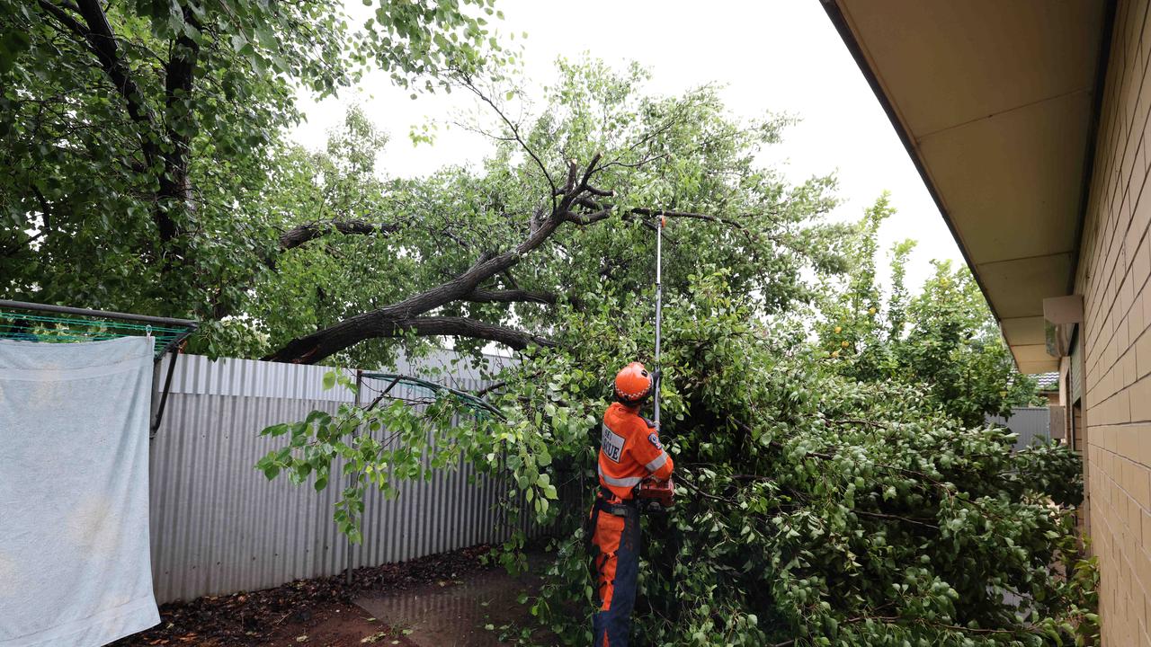 An SES volunteer clears a limb at Clarence Pk Image/Russell Millard Photography