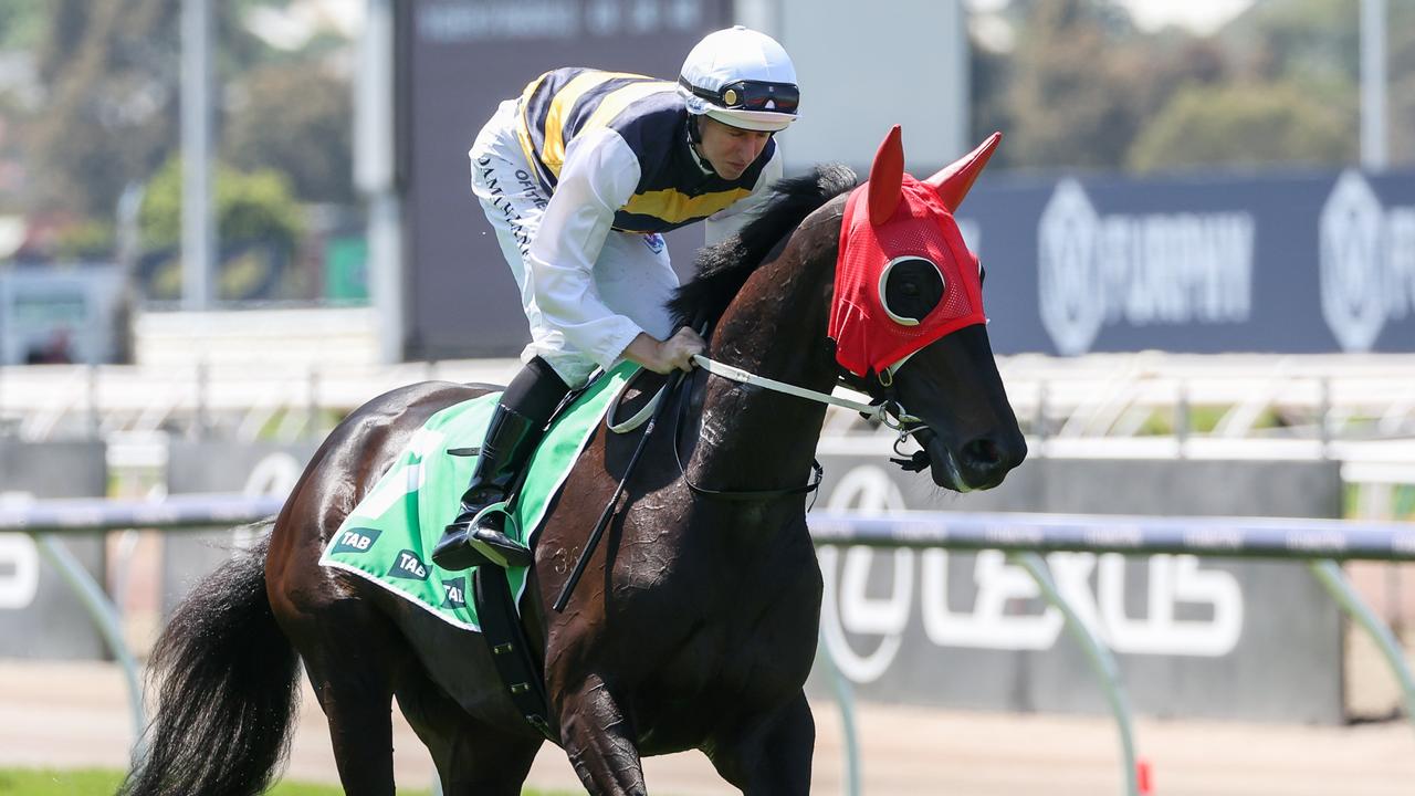 Queensland Derby winner Warmonger is set for a Sydney campaign after a pleasing Geelong trial on Wednesday. Picture: Racing Photos via Getty Images