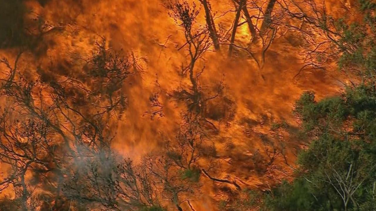 A hazard reduction burn got out of control in Sydney’s Northern Beaches on Sunday. Picture: Nine