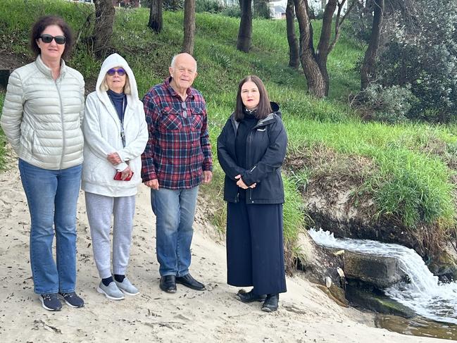 Independent councillor Heidi Lee Douglas (far right) raised a motion for the Bayside Council to create a report to help answer questions and concerns residents have over the water drainage. Picture: Tileah Dobson