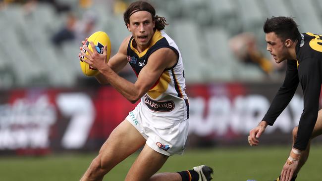 The future of the Adelaide Crows in the SANFL remains up in the air. Picture: Sarah Reed.