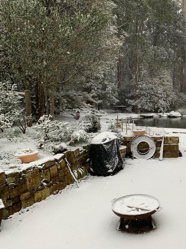 Snow falling thick and fast in Fern Tree, in Hobart, Tasmania on August 4, 2020. Picture: Iain Kelly
