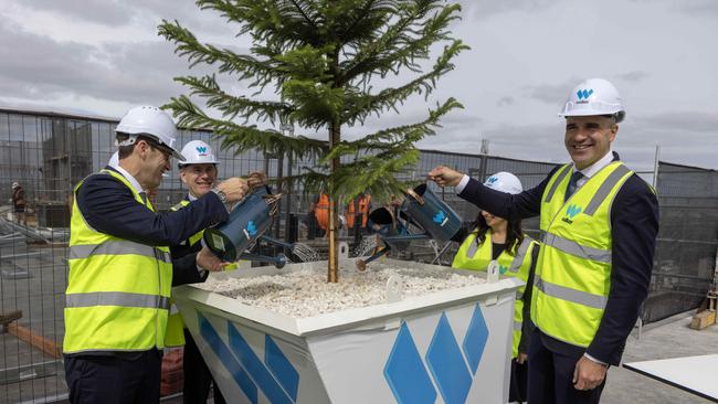 Walker Corporation CEO David Gallant, with Premier Peter Malinauskas at the One Festival Tower, watering a tree as per construction tradition. Picture: NCA NewsWire / Kelly Barnes