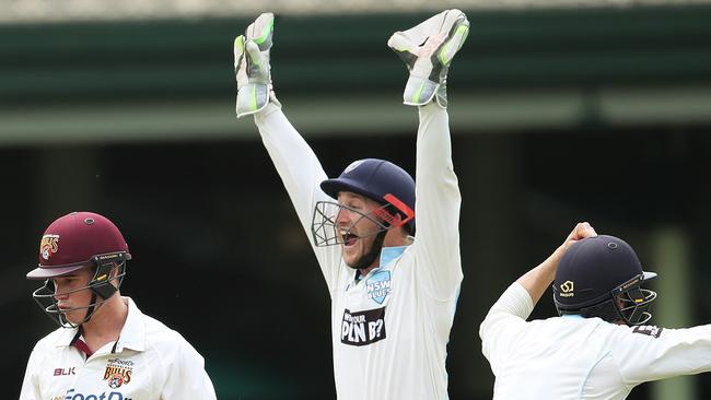 Peter Nevill has been in good form for the NSW Blues. Picture. Phil Hillyard