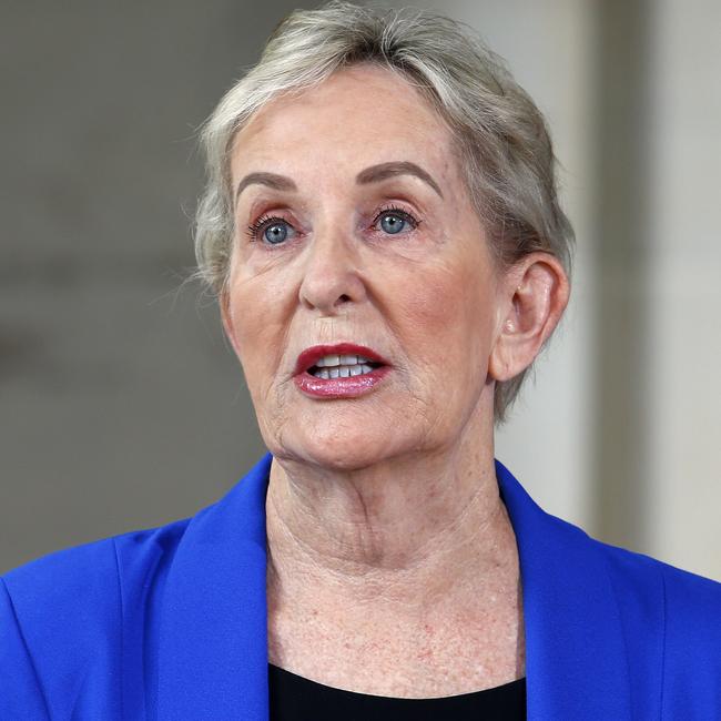 Opposition health spokeswoman Ros Bates. Picture: Tertius Pickard