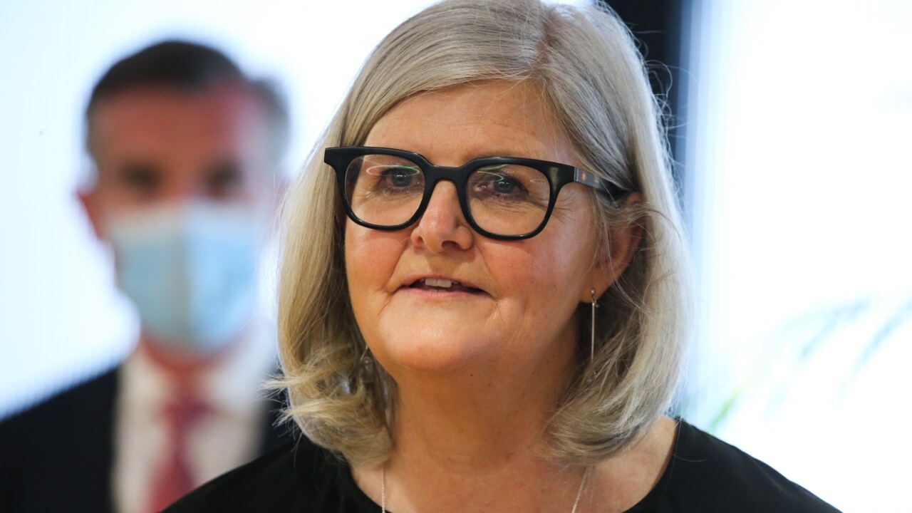 Sam Mostyn ‘really lovely’ but ‘can’t bring her ideology into the role ...