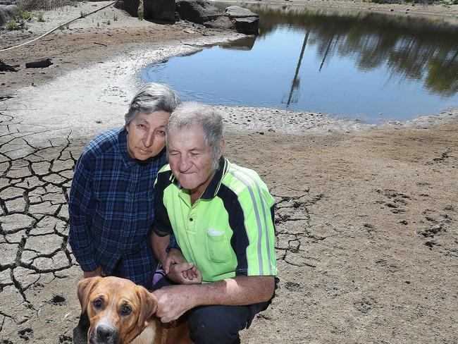 HOLD DO NOT USE, COURIER MAIL SATURDAY 14TH SEP John and Angie Giacosa  with their dog "Kara" at their Apple Farm that was ravaged by fire and their Dam has only 10% of water left. Pic Annette Dew