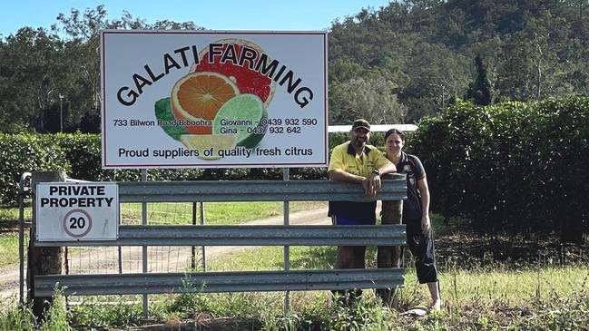 Giovanni and Gina Galati, who grow 80 hectares of citrus trees on a farm near Cairns. ‘If we’ve got more limes in the market it would literally crash the lime market.’