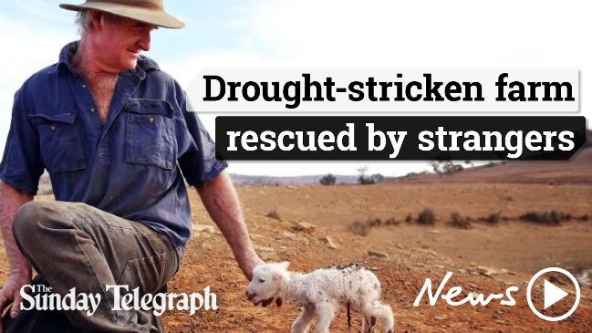 Drought feed drop to the Jones farm