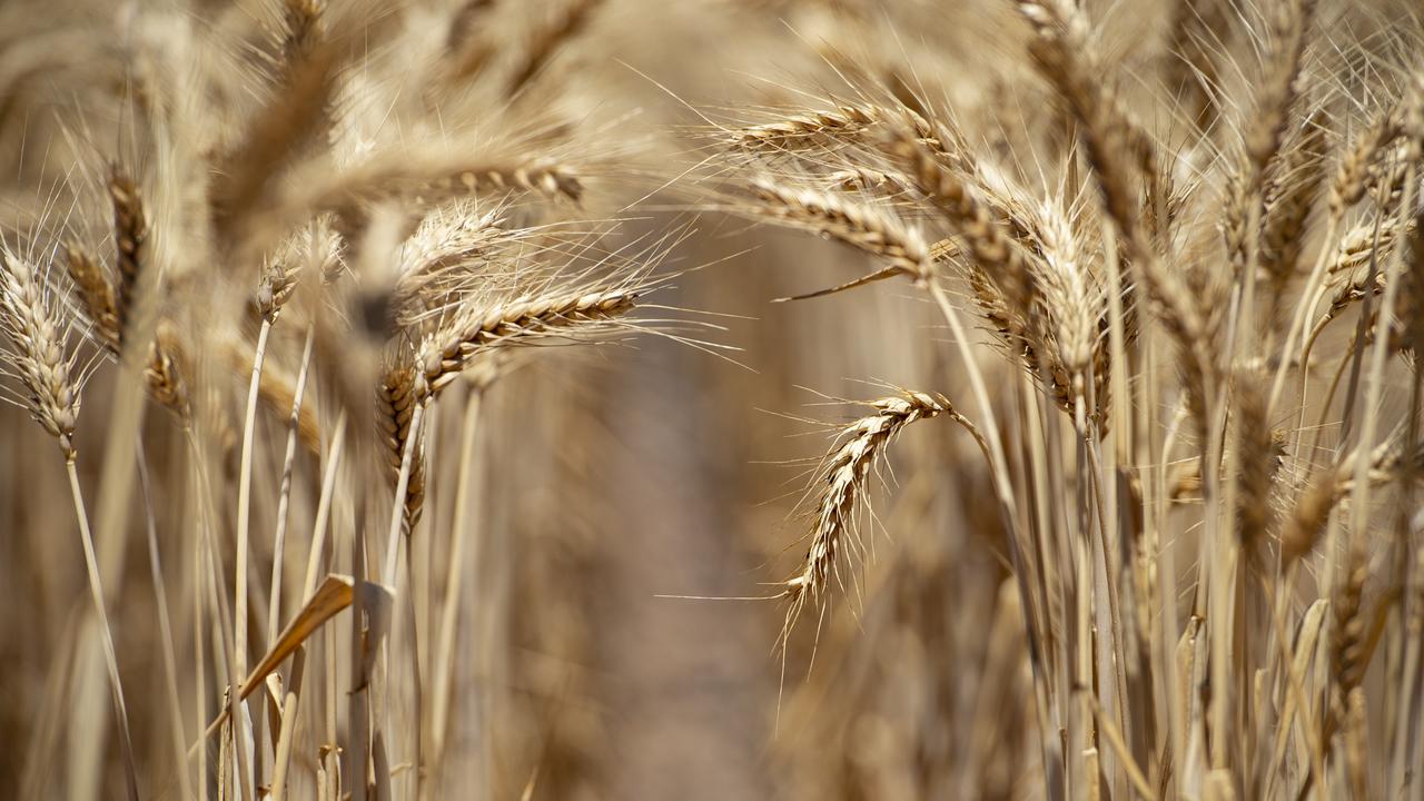 Crops Tipped For Another Top Year | The Weekly Times