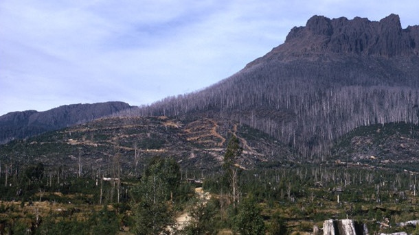 Logged forest looking towards Mt Field. Picture: KEVIN KIERNAN