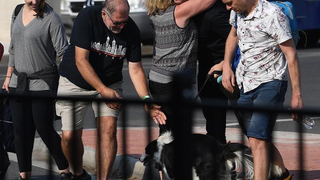 Reunited with loved ones at Hastings. Picture: AAP