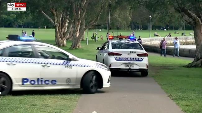 NSW police cars drive through the Rushcutters Bay park. Picture: SkyNews