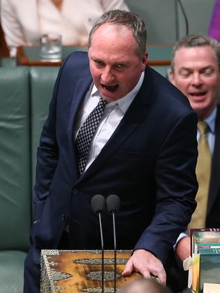 Deputy PM Barnaby Joyce. Picture Kym Smith