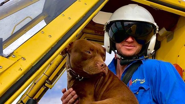 A large bird that struck the windshield of a light plane has been was revealed as the cause of a fatal light plane crash that took the life of Tom Grey. Picture: Facebook