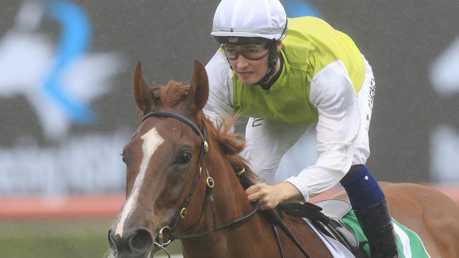 Tom Sherry (pictured) will partner Sanstoc for Mark Newnham. Picture: Getty Images